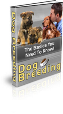 Product picture Dog Breeding: The Basics You Need To Know! (PLR)