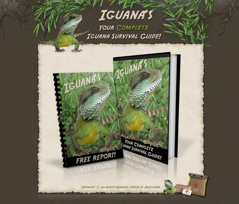 Product picture Complete Iguana Survival Guide (PU & PLR)