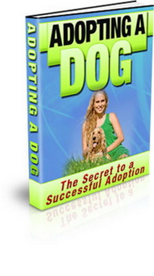 Product picture Adopting A DOG (PLR)