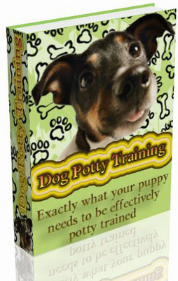 Product picture Dog Potty Training (PLR)