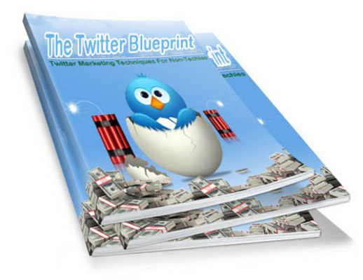 Product picture The Twitter Blueprint (PLR)