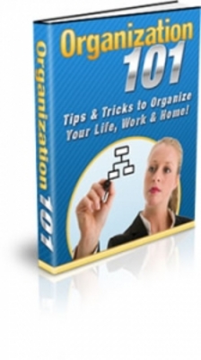 Product picture Organization 101 eBook (PLR)